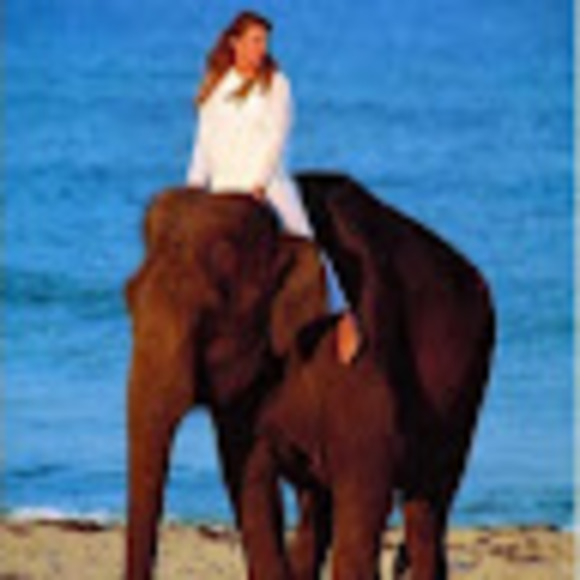 Meet your Posher, Gina - Picture 1 of 1